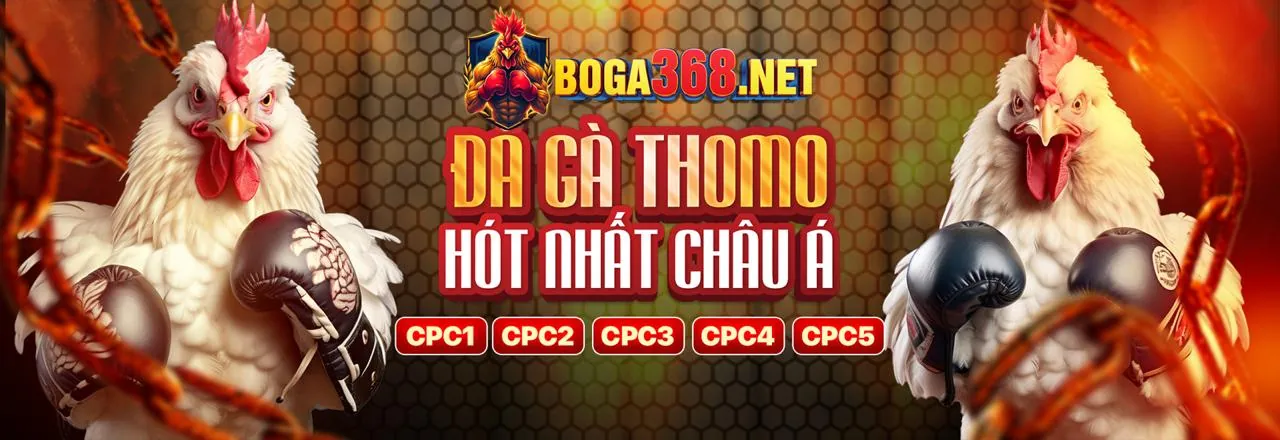 Đá gà trực tuyến kịch tính tại KL99 Chính Thức